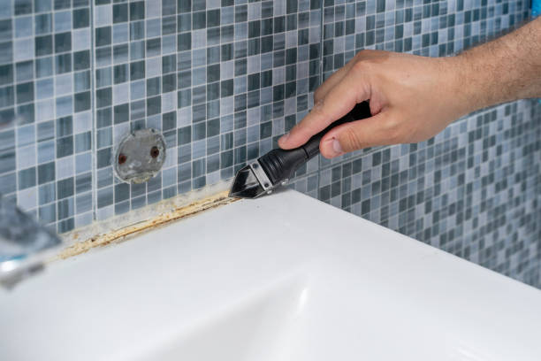 Reliable Oyster Creek, TX Mold Removal Solutions
