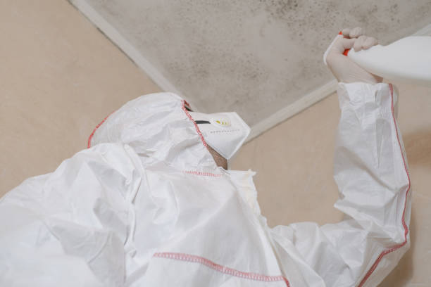 Best Residential Mold Removal  in Oyster Creek, TX