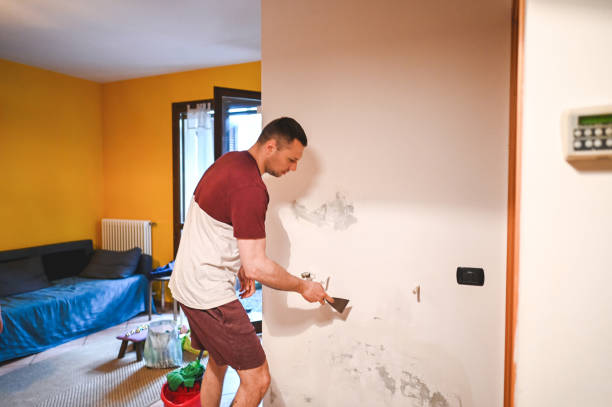 Best Local Mold Removal Service  in Oyster Creek, TX